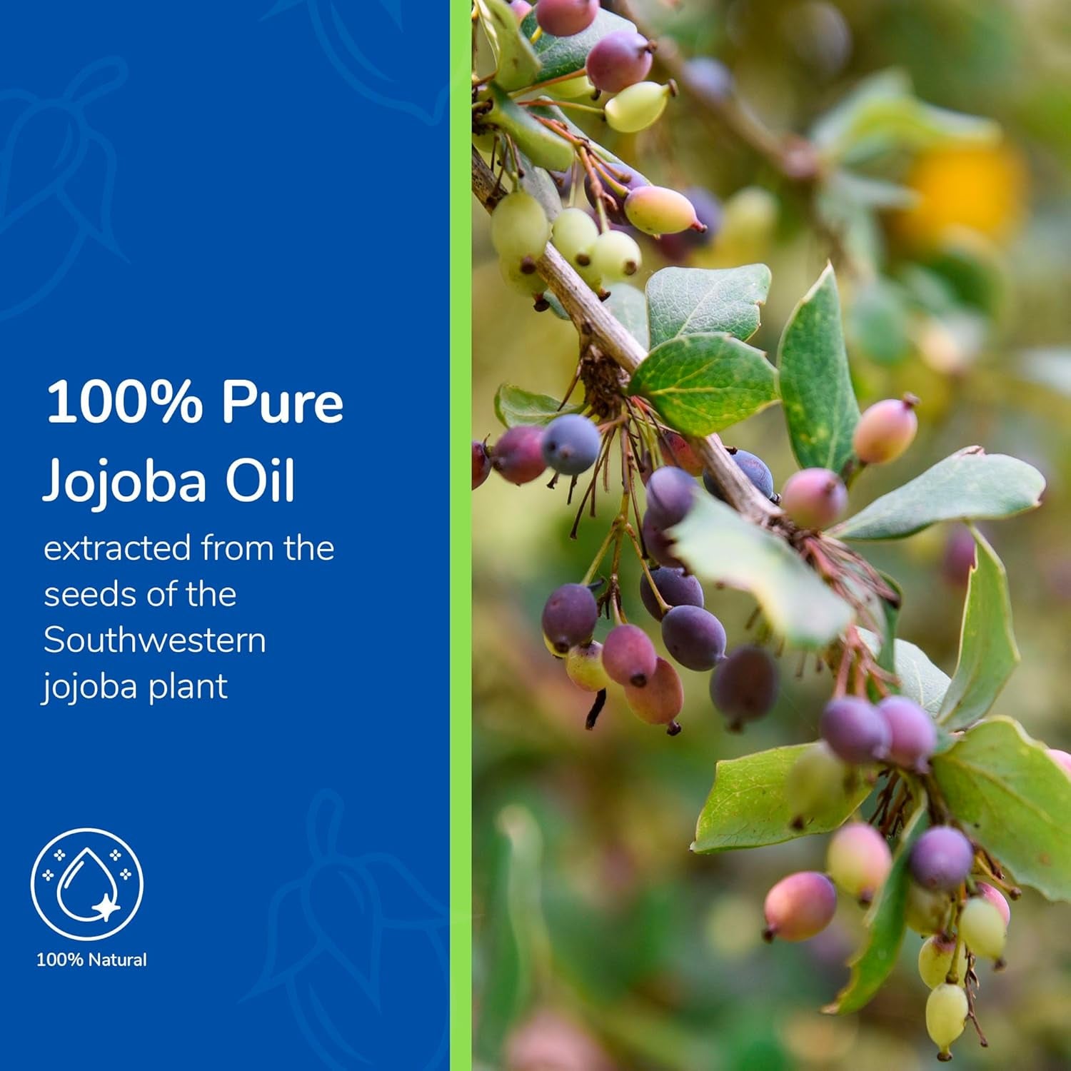 Earth’S Care Jojoba Oil - 100% Pure Jojoba Oil for Hair, Skin and Nails - Cold Pressed - Nourishing Natural Moisturizer - 8 FL OZ